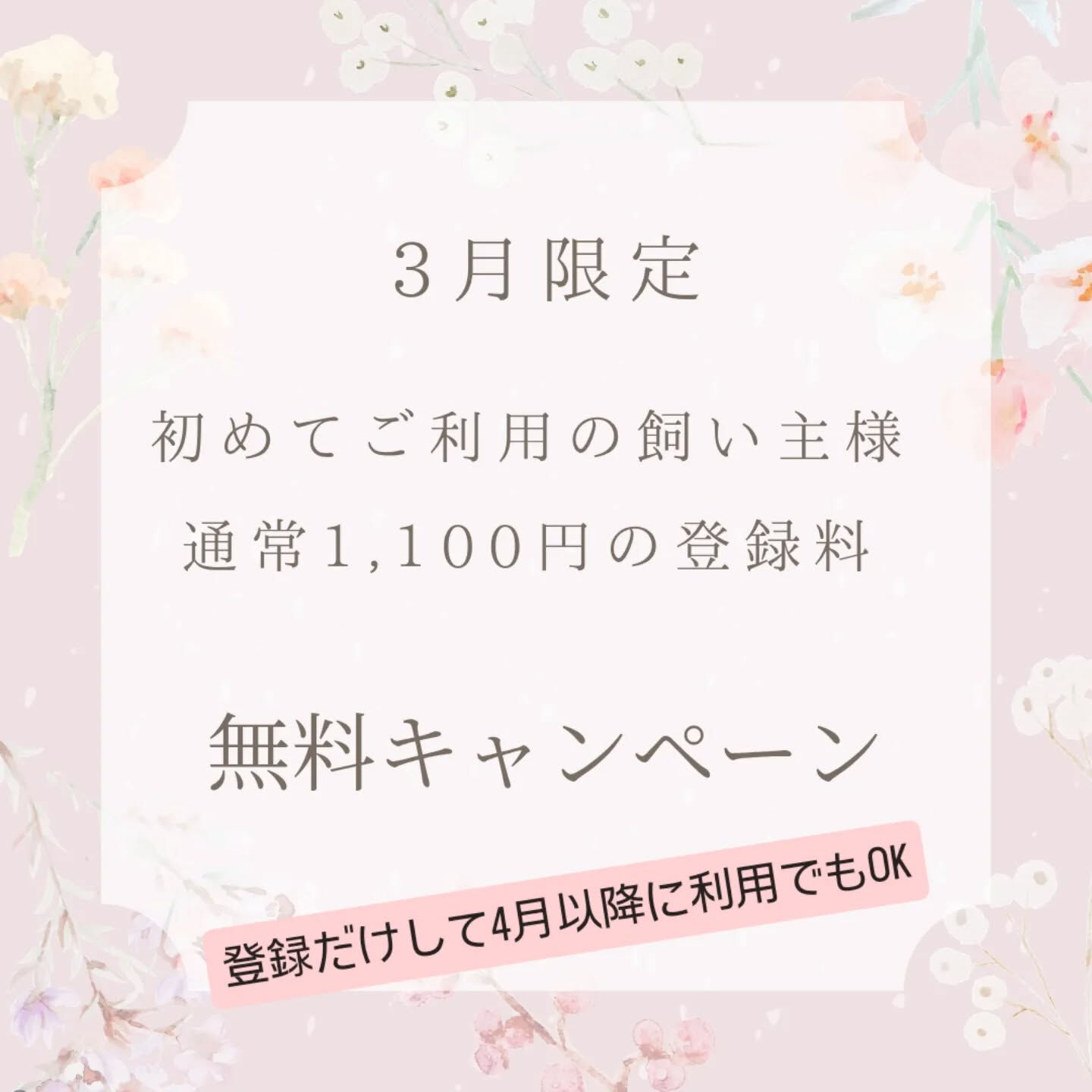 横浜市青葉区のペットシッターわんこファーストです!