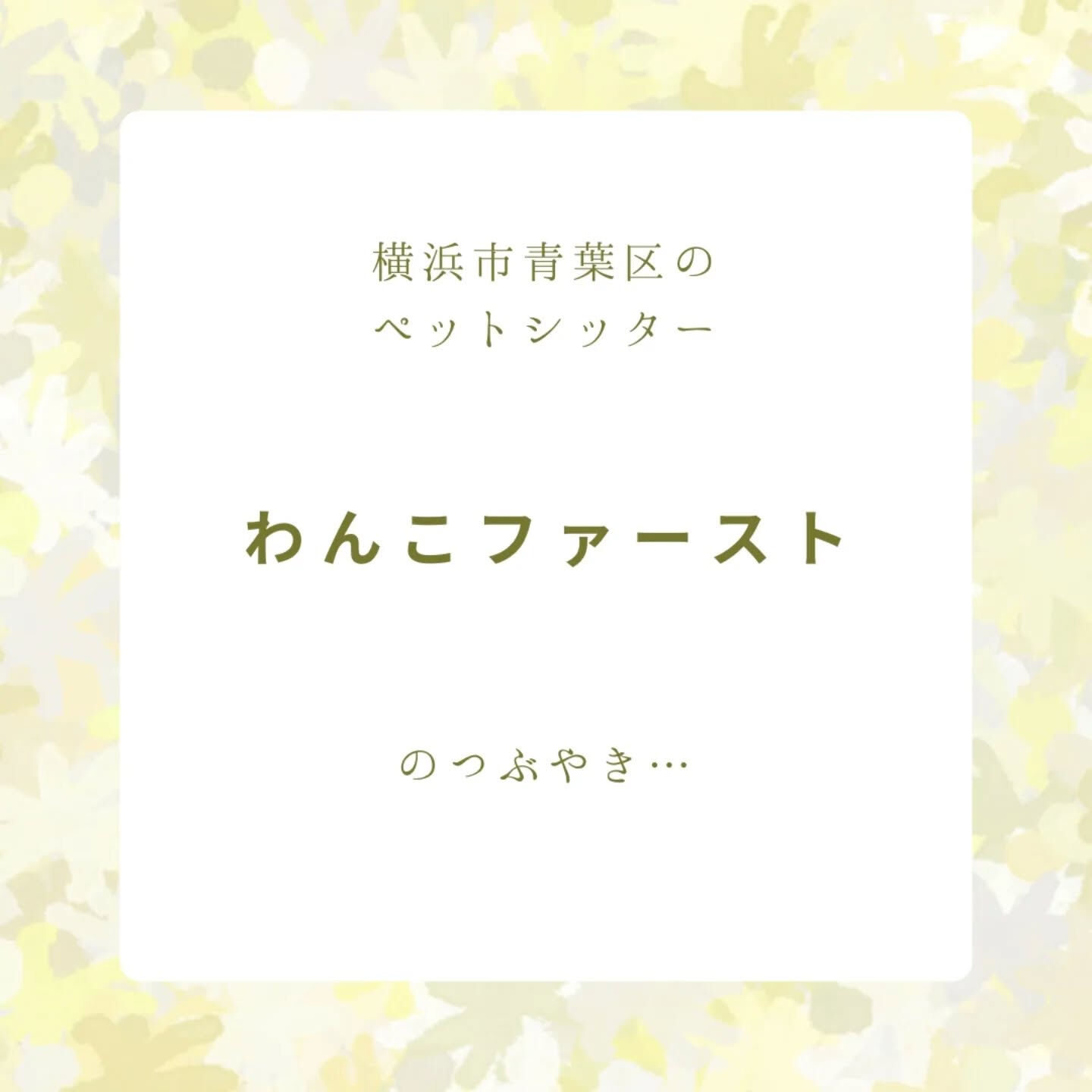 横浜市青葉区のペットシッターわんこファーストです!