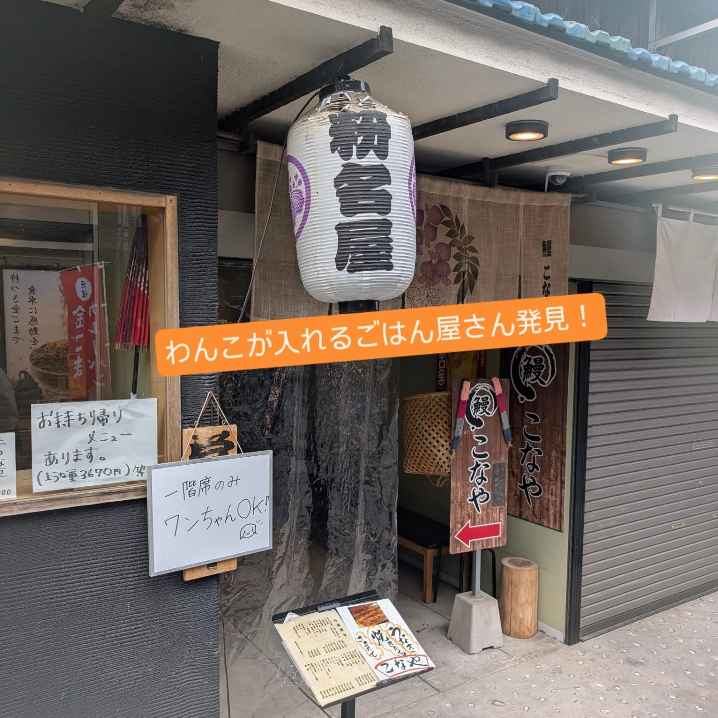 横浜市青葉区のペットシッターわんこファーストです!