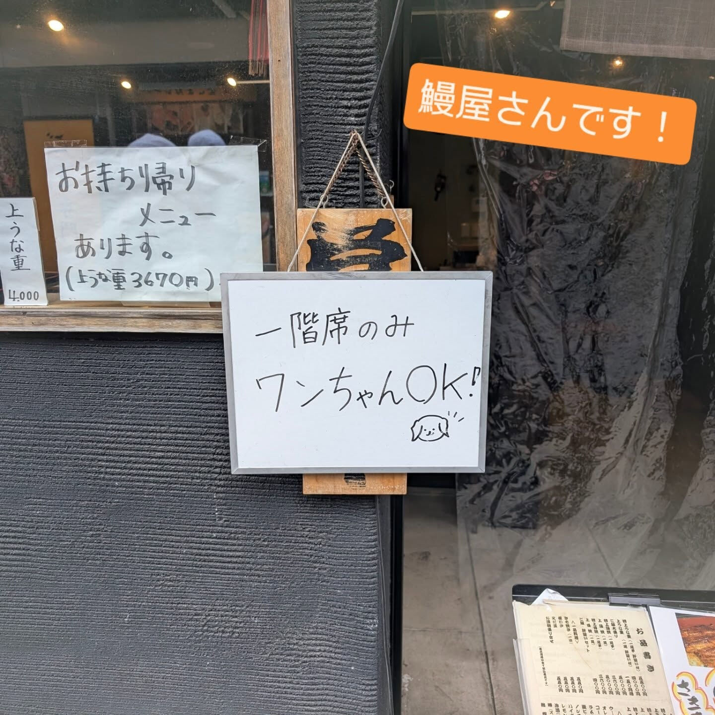 横浜市青葉区のペットシッターわんこファーストです!