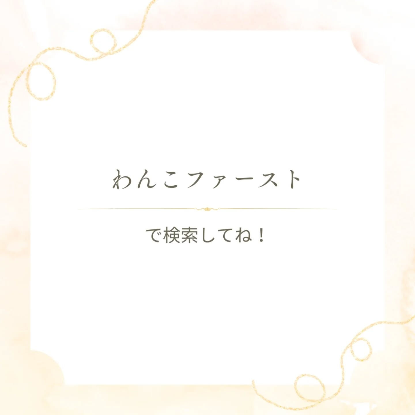 横浜市青葉区のペットシッターわんこファーストです!