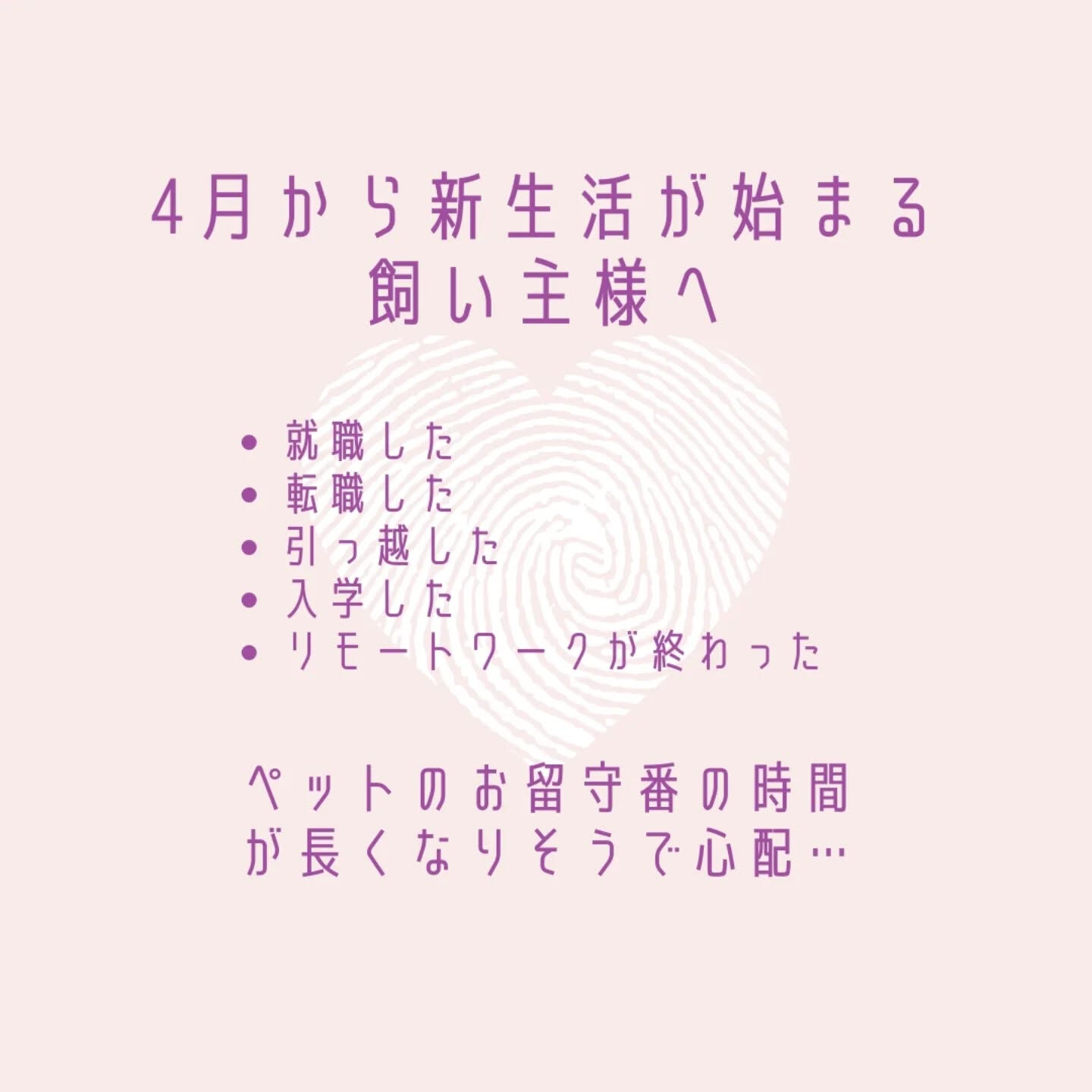 横浜市青葉区のペットシッターわんこファーストです!
