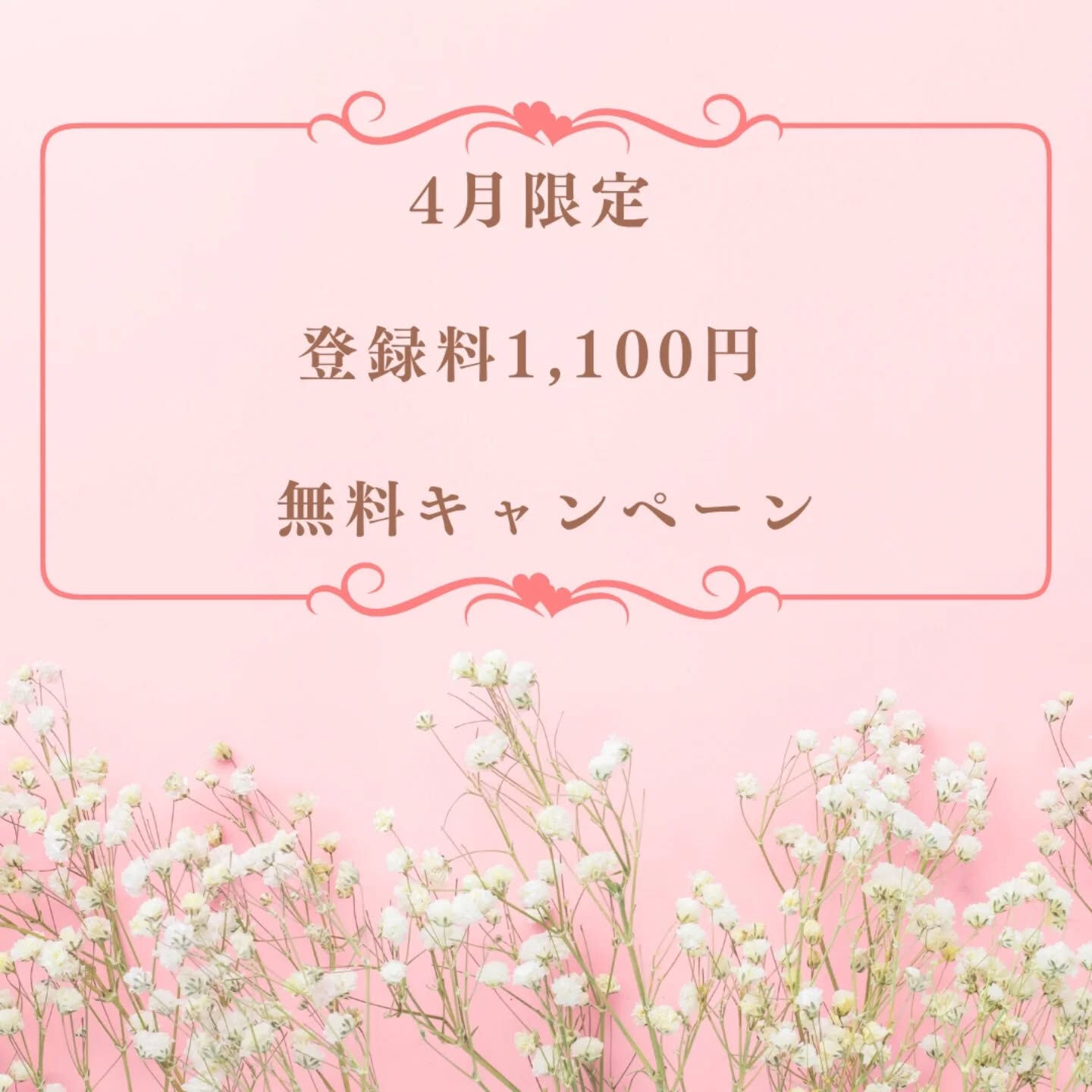 横浜市青葉区のペットシッターわんこファーストです!