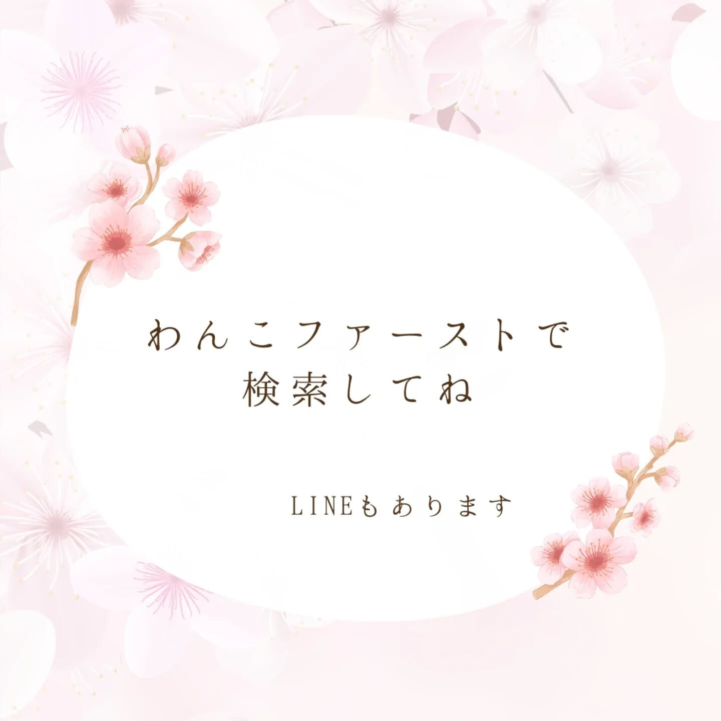 横浜市青葉区のペットシッターわんこファーストです!