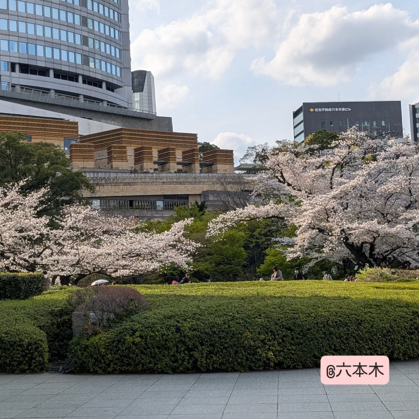 横浜市青葉区のペットシッターわんこファーストです!