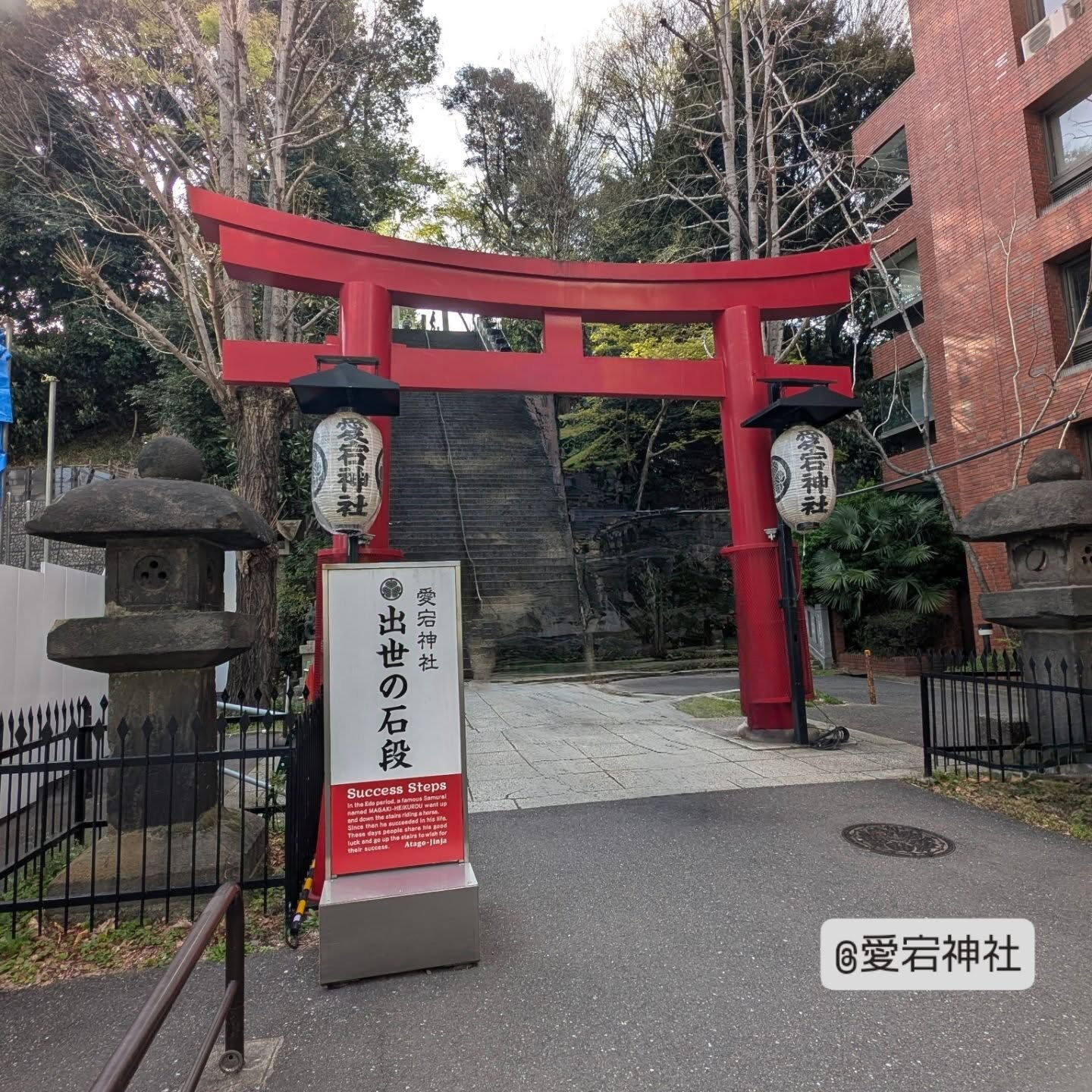 横浜市青葉区のペットシッターわんこファーストです!