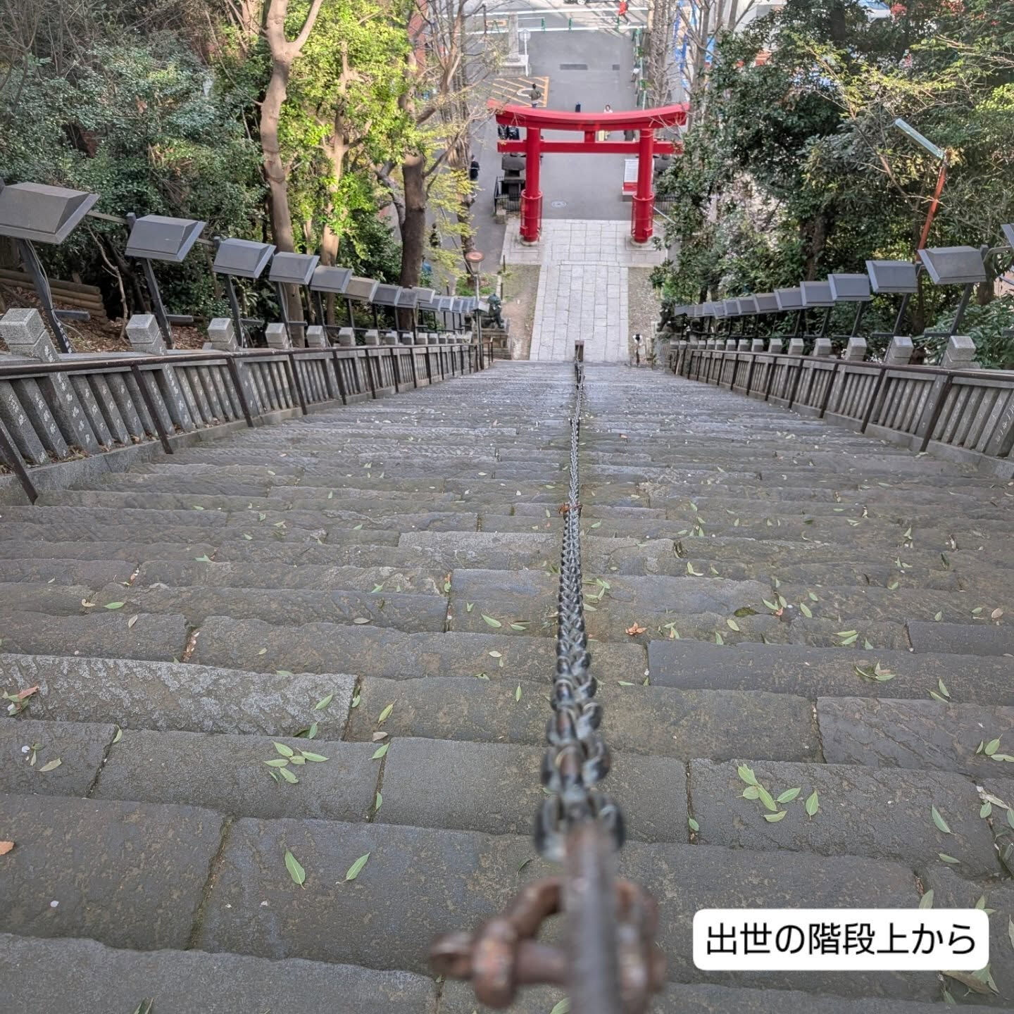 横浜市青葉区のペットシッターわんこファーストです!