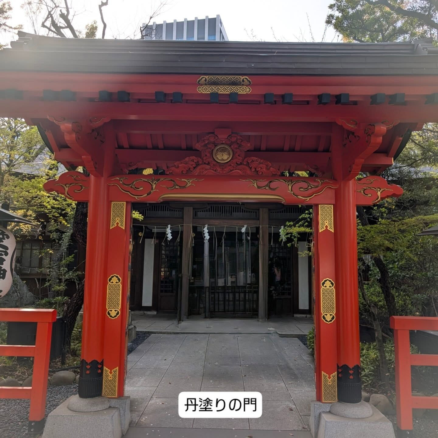 横浜市青葉区のペットシッターわんこファーストです!