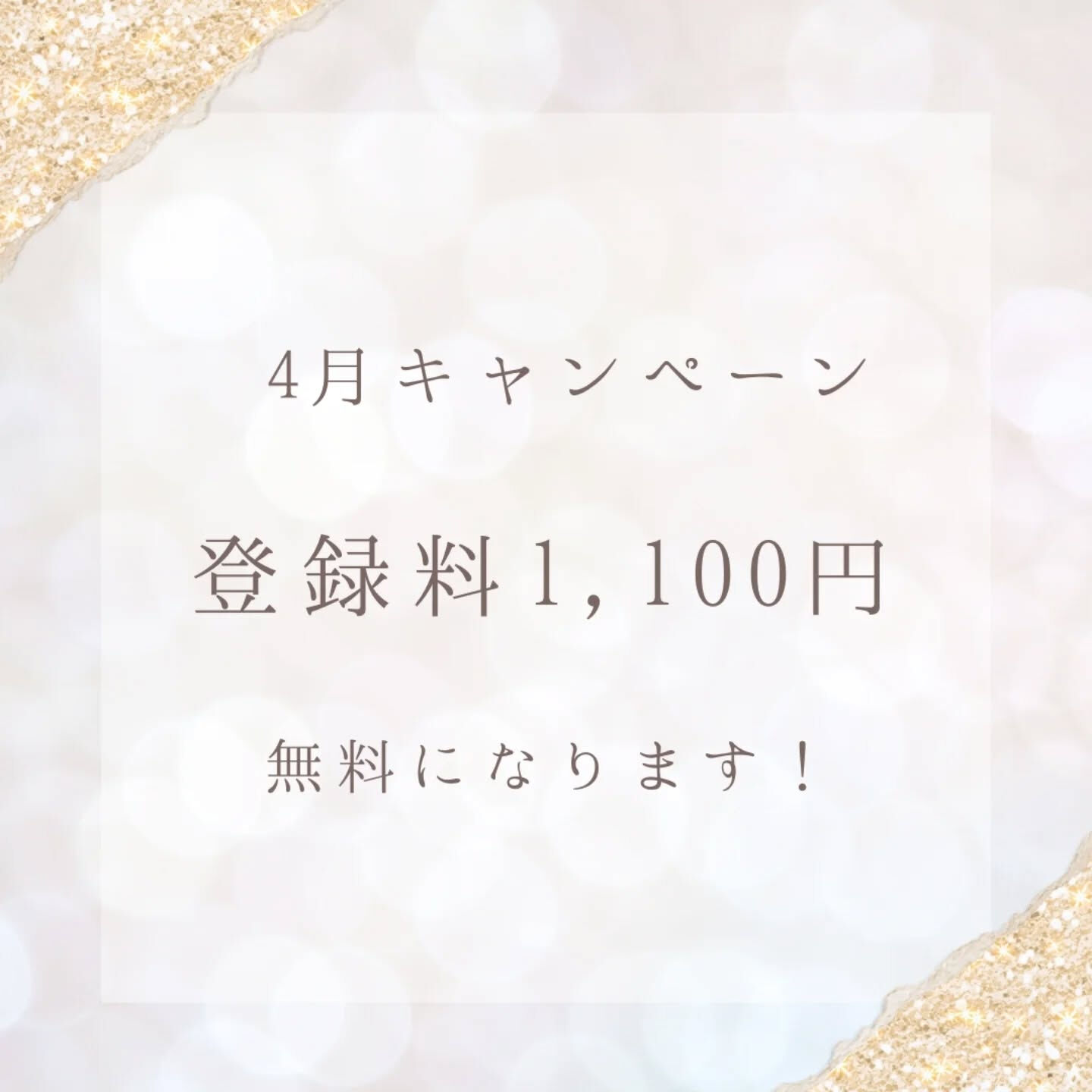 横浜市青葉区のペットシッターわんこファーストです!