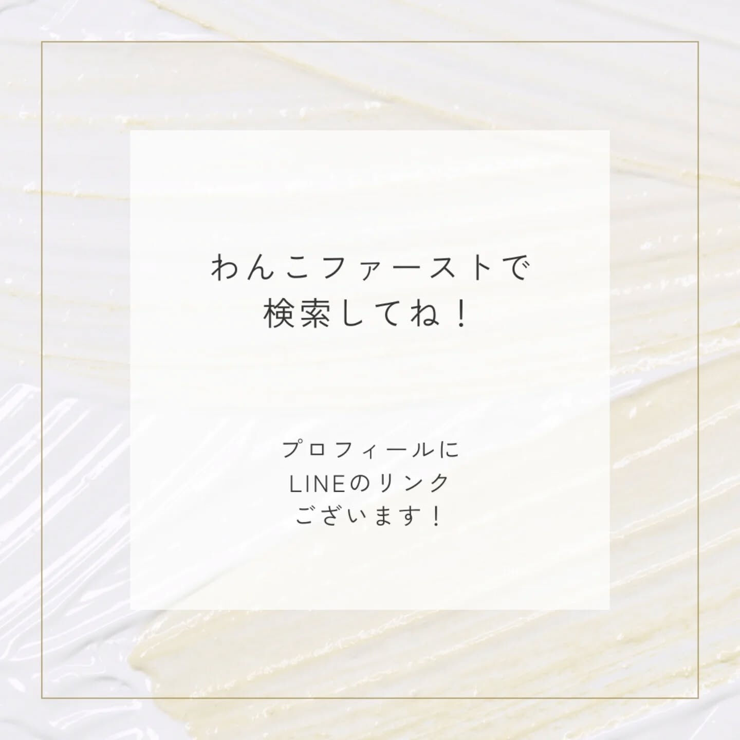 横浜市青葉区のペットシッターわんこファーストです!