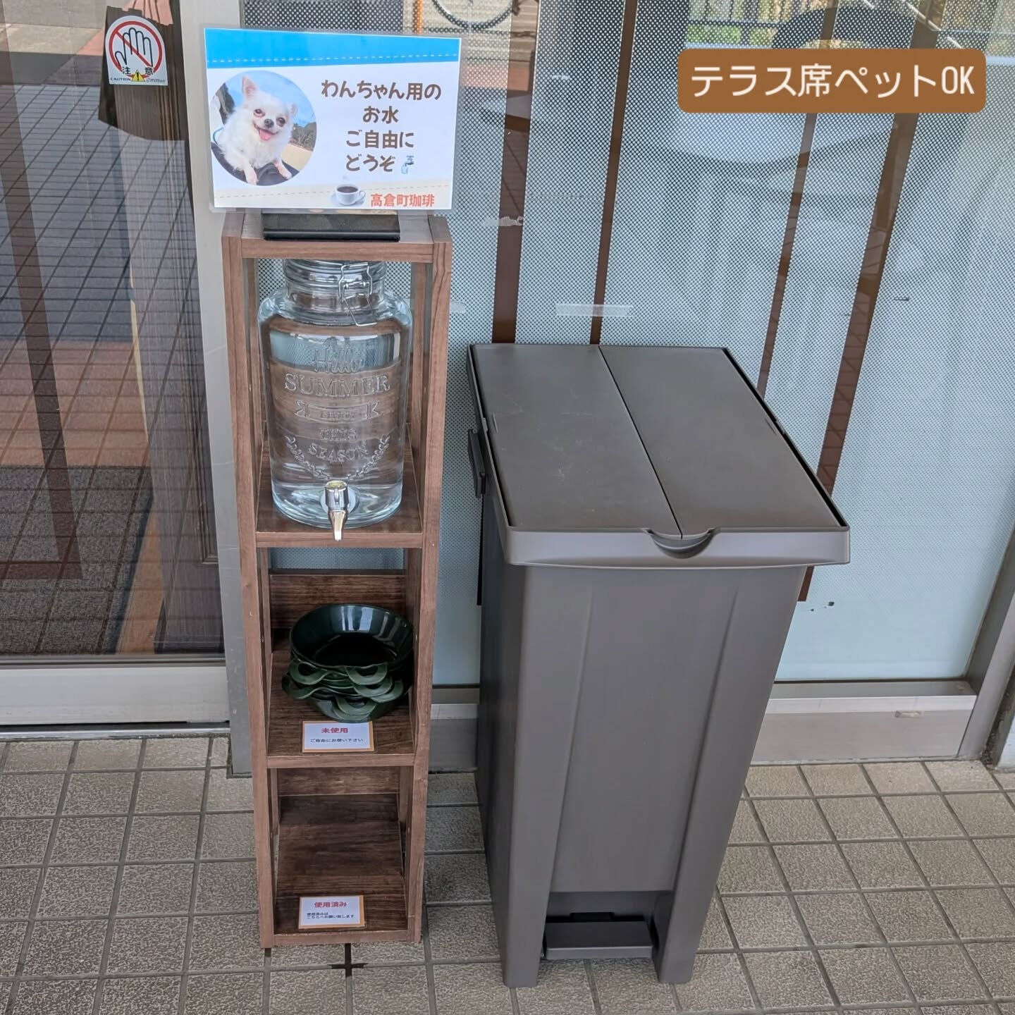 横浜市青葉区のペットシッターわんこファーストです！