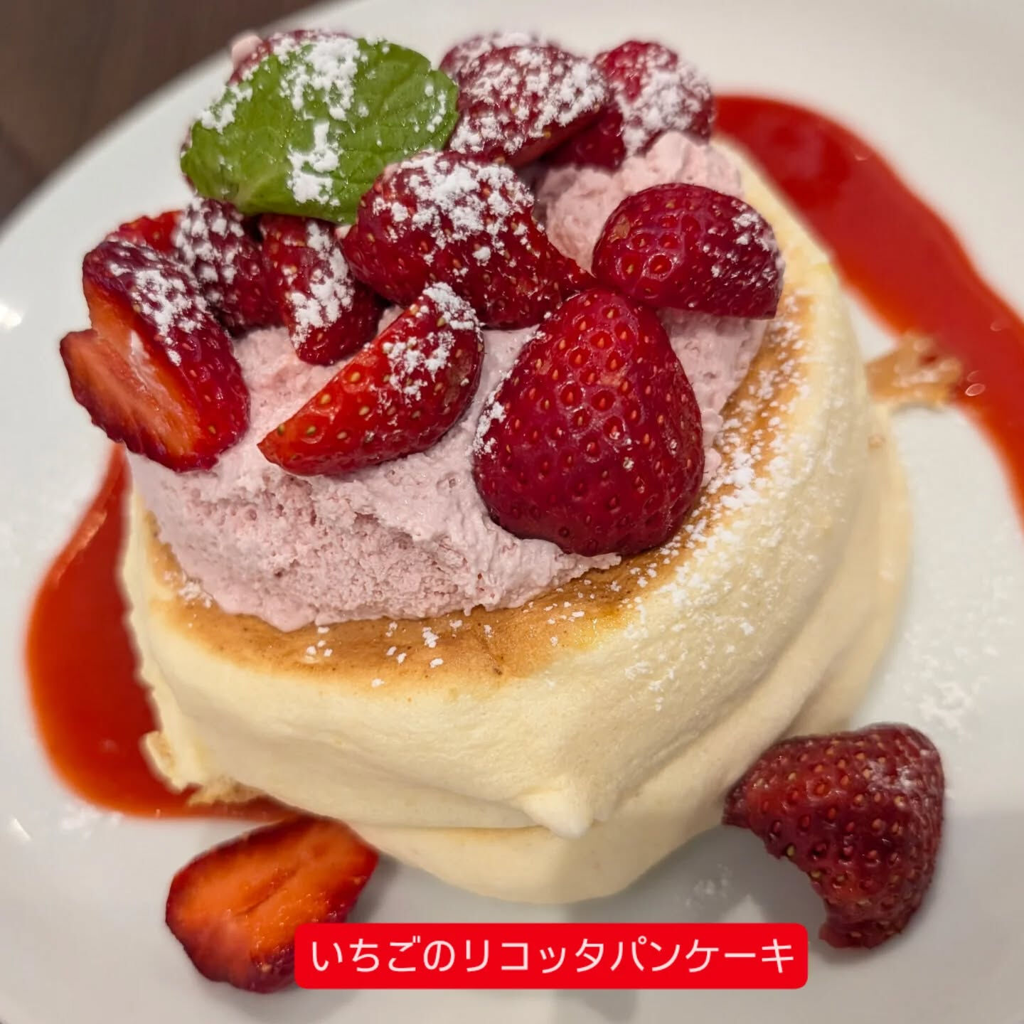 横浜市青葉区のペットシッターわんこファーストです！