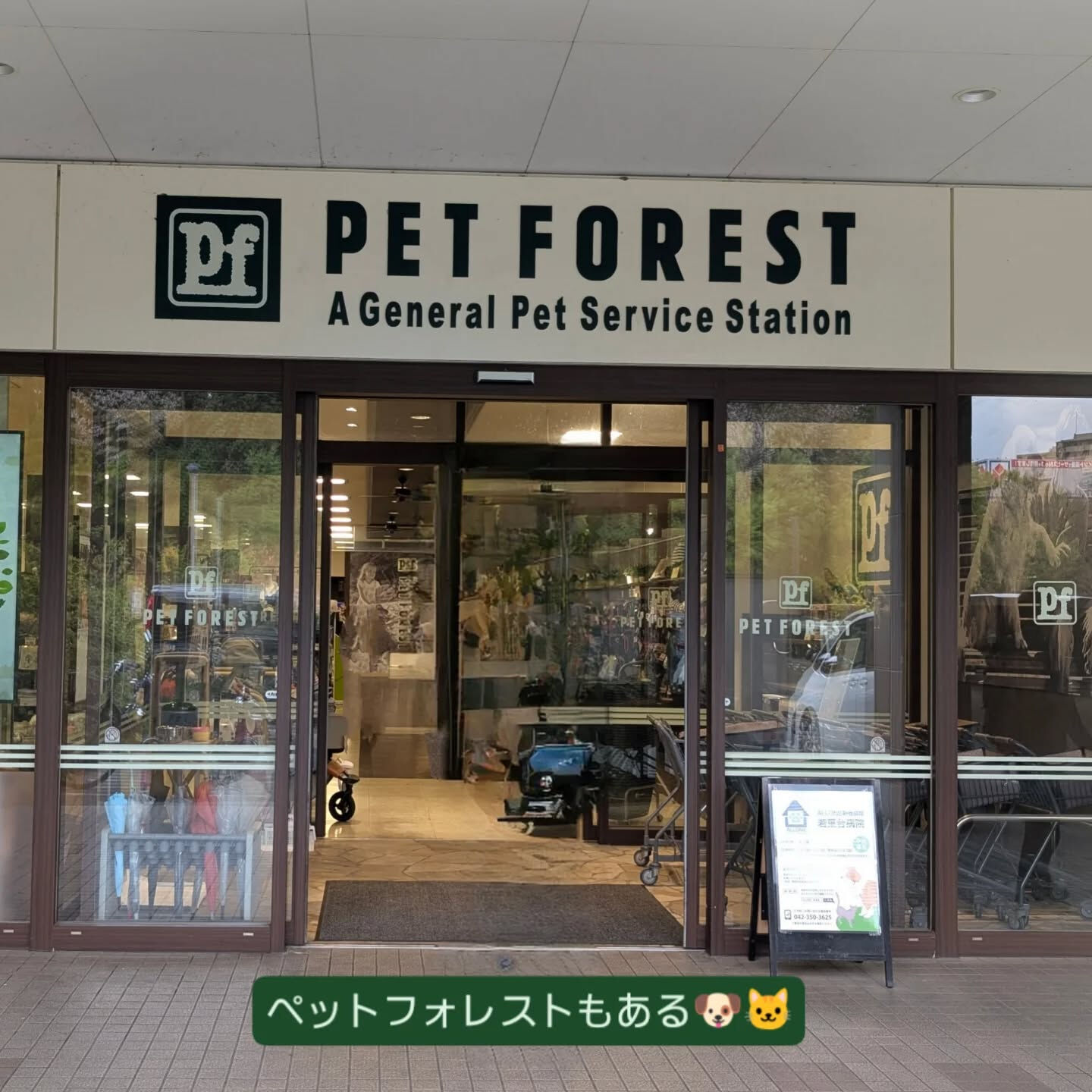 横浜市青葉区のペットシッターわんこファーストです！