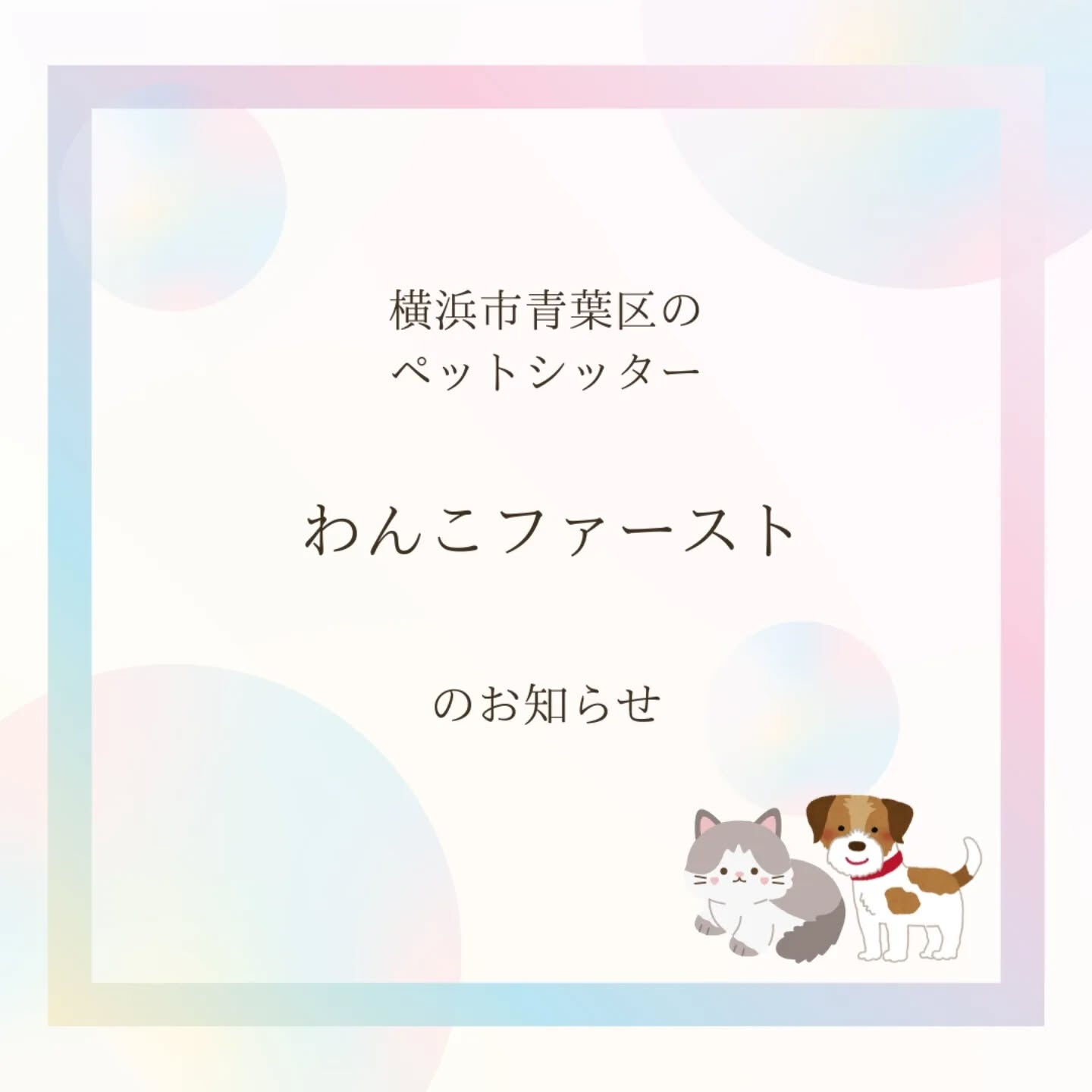 横浜市青葉区のペットシッターわんこファーストです!