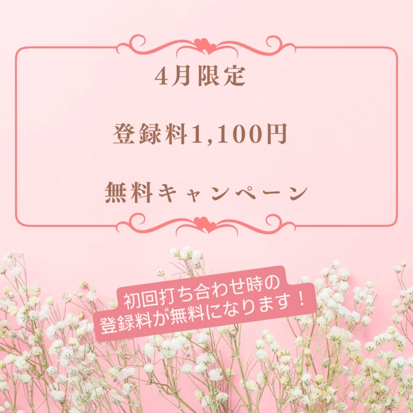 横浜市青葉区のペットシッターわんこファーストです!