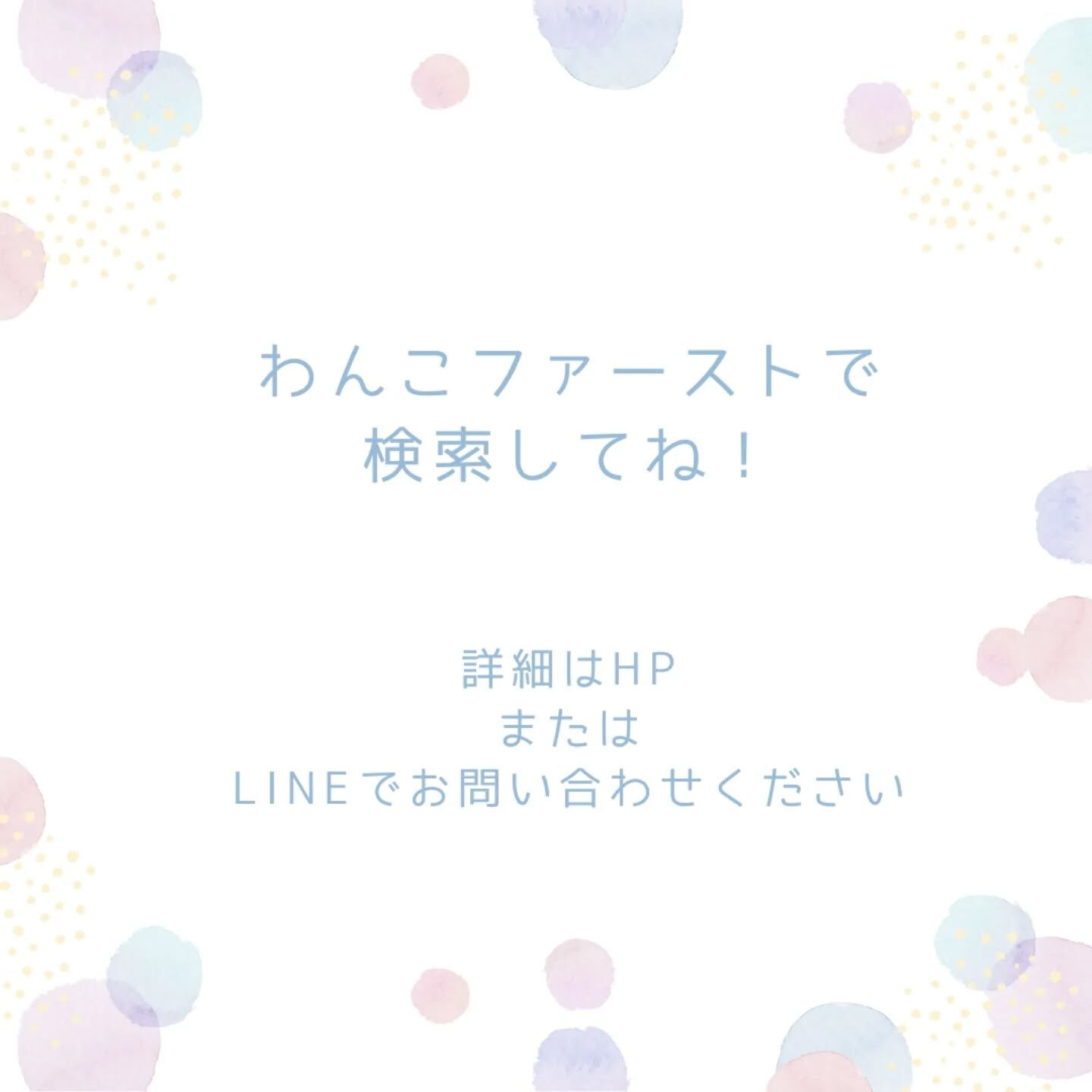 横浜市青葉区のペットシッターわんこファーストです!