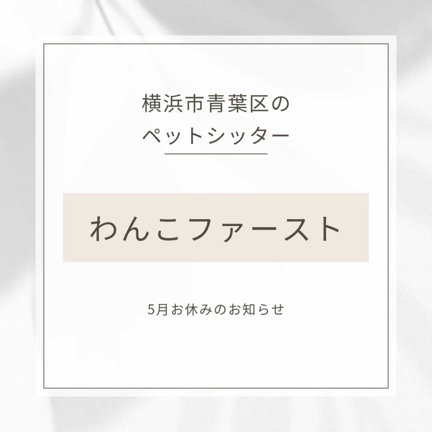 横浜市青葉区のペットシッターわんこファーストです！