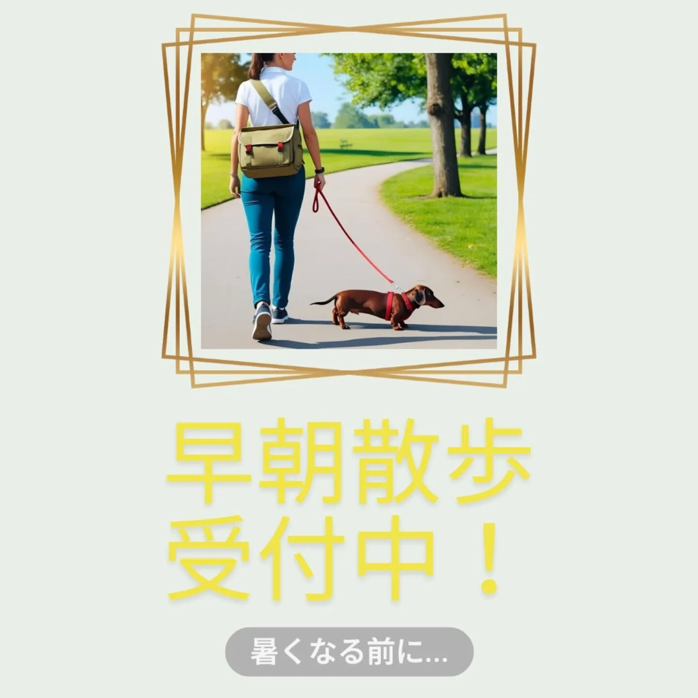 横浜市青葉区のペットシッターわんこファーストです！