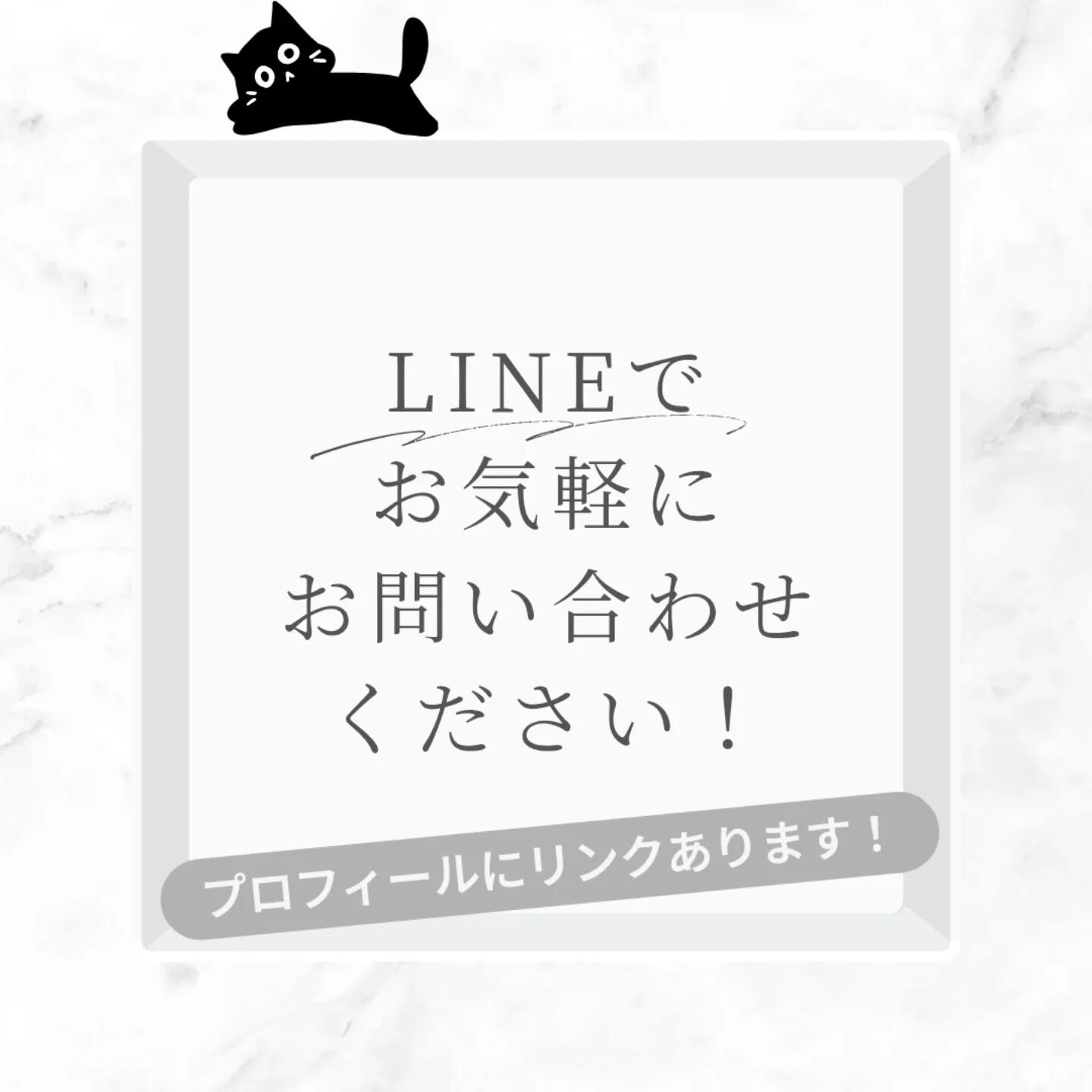横浜市青葉区のペットシッターわんこファーストです！