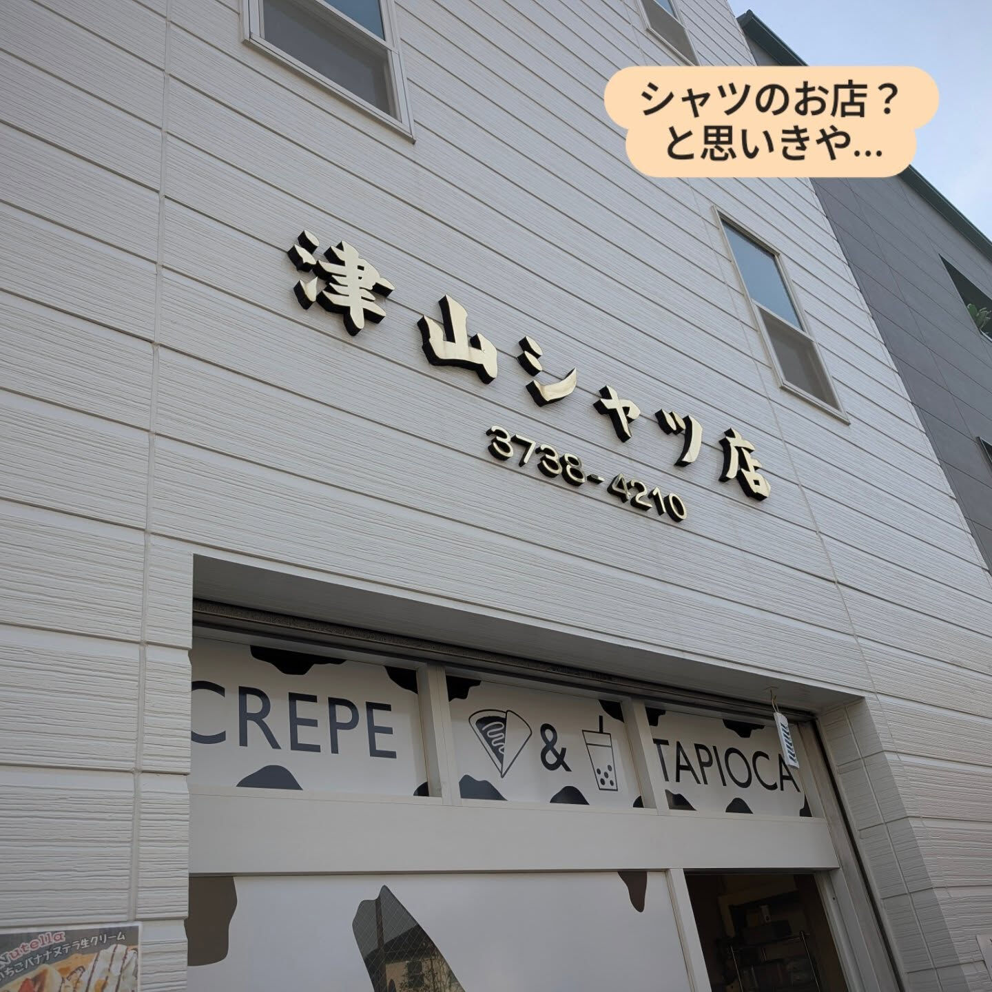 横浜市青葉区のペットシッターわんこファーストです！