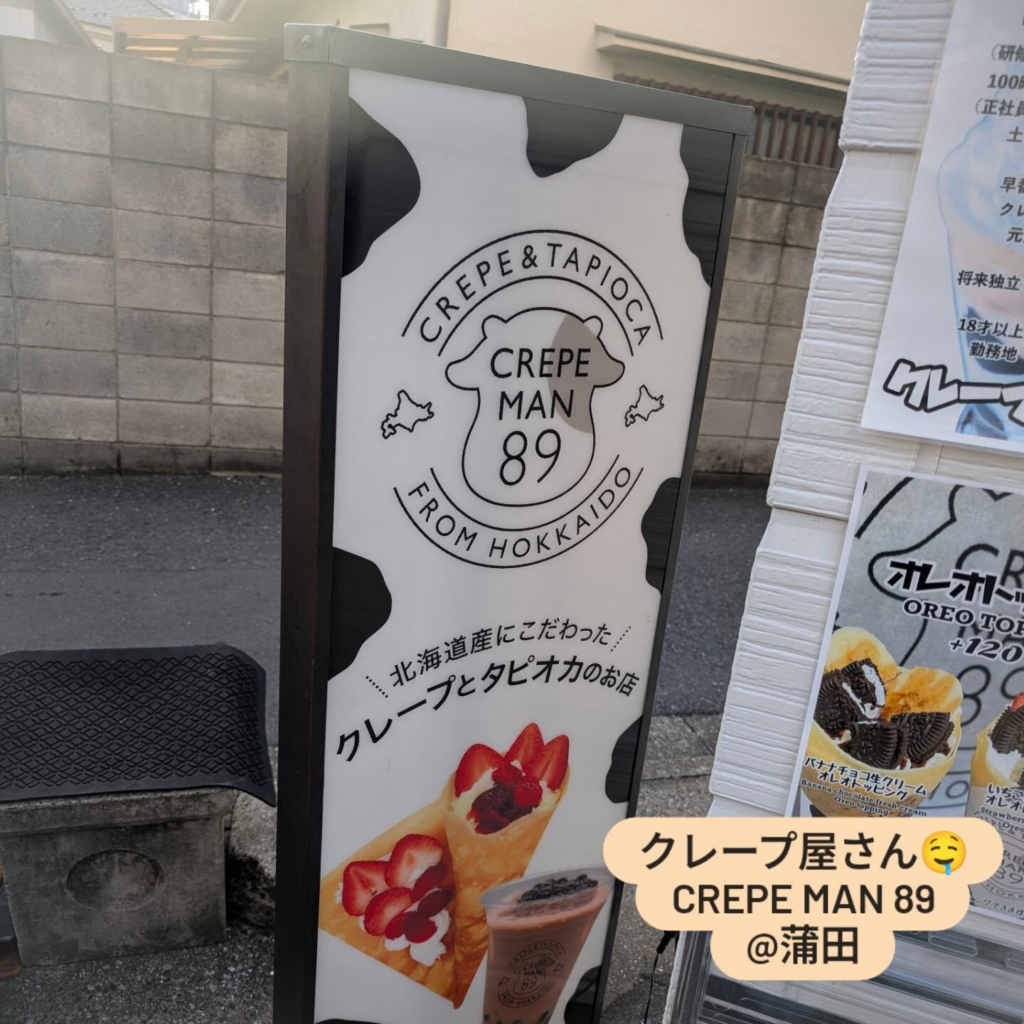 横浜市青葉区のペットシッターわんこファーストです！