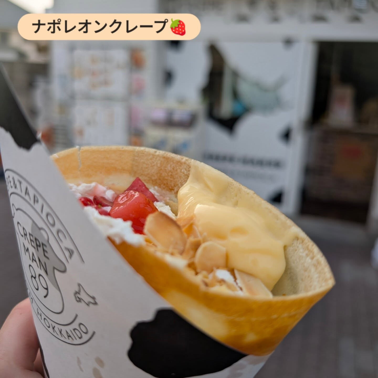 横浜市青葉区のペットシッターわんこファーストです！