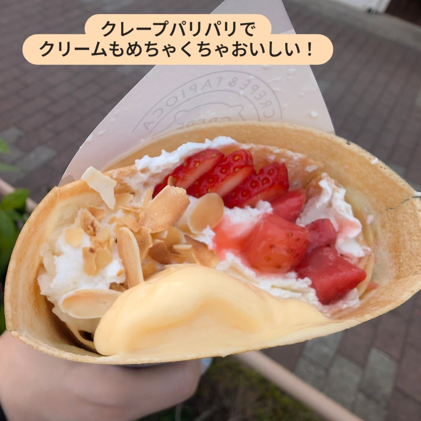 横浜市青葉区のペットシッターわんこファーストです！