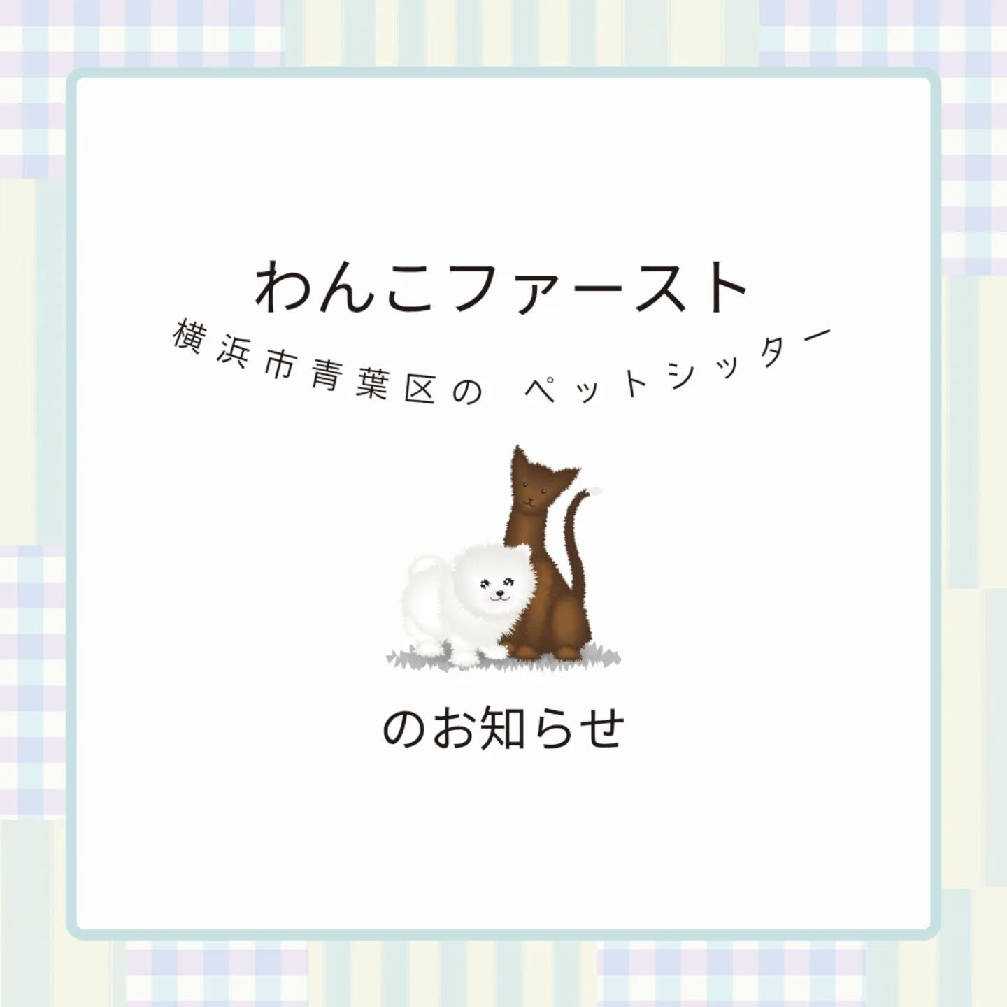 横浜市青葉区のペットシッターわんこファーストです！