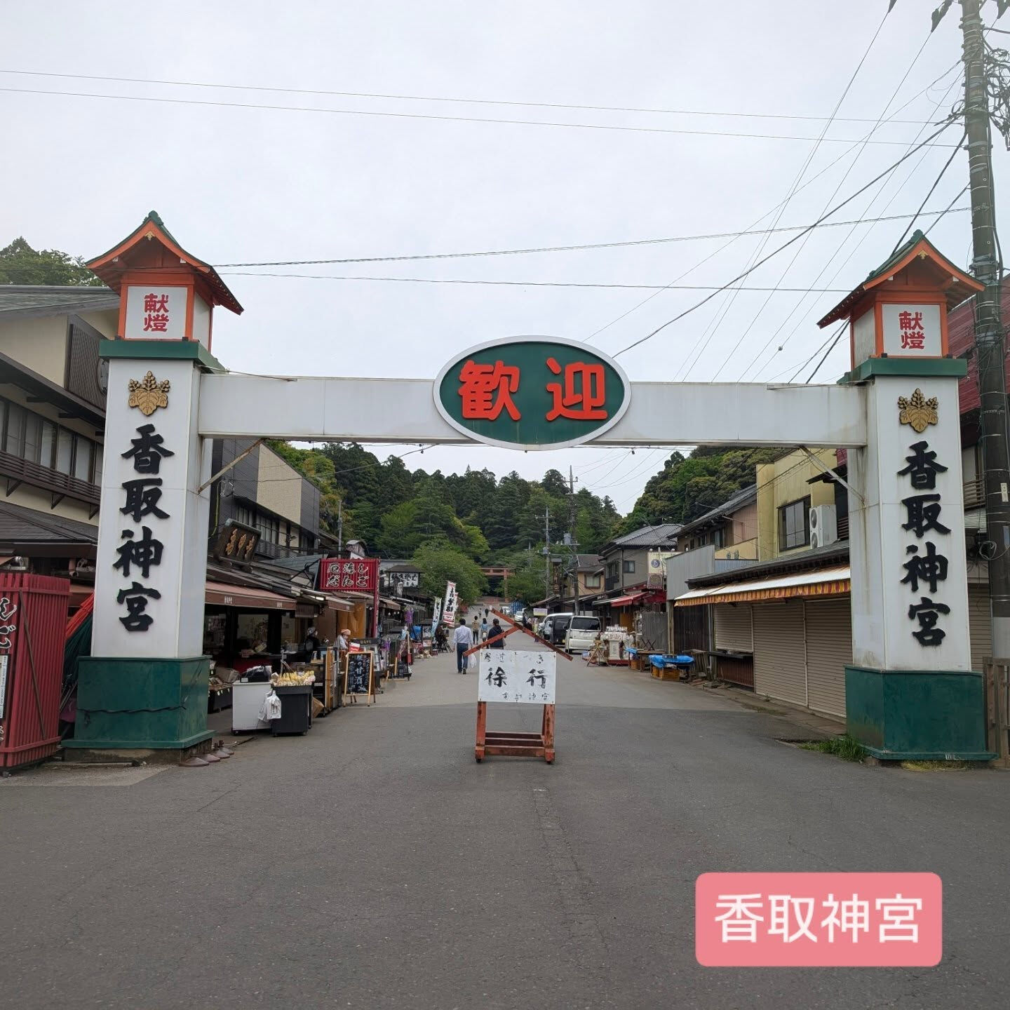横浜市青葉区のペットシッターわんこファーストです！