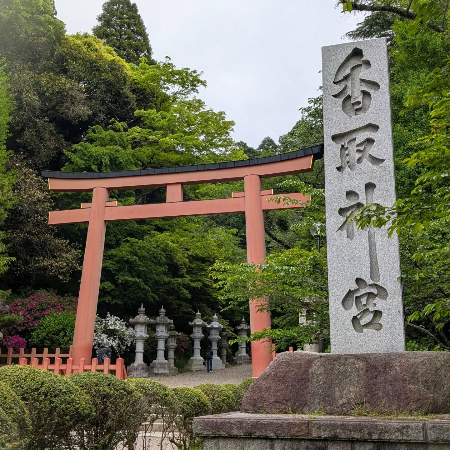 横浜市青葉区のペットシッターわんこファーストです！