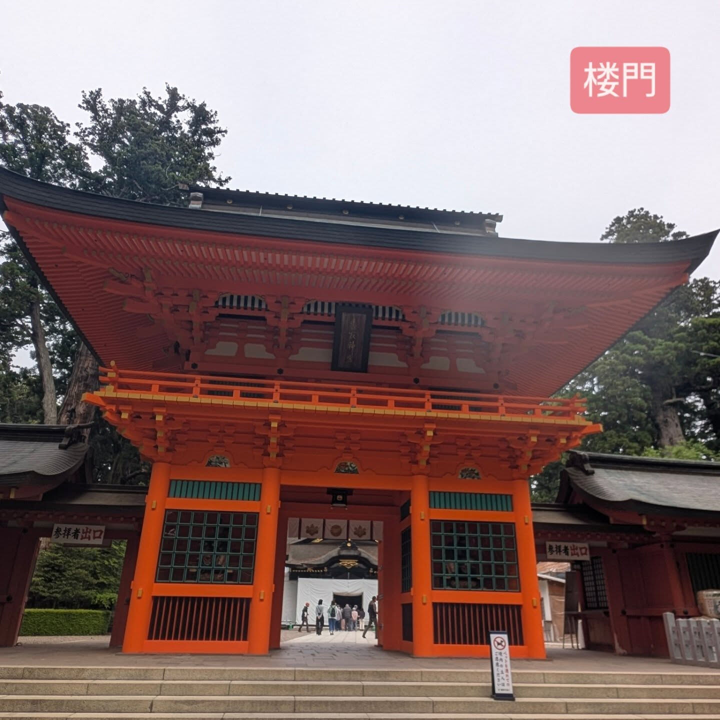 横浜市青葉区のペットシッターわんこファーストです！