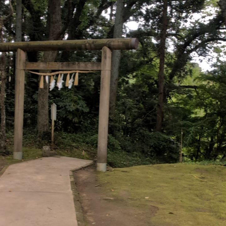 横浜市青葉区のペットシッターわんこファーストです！