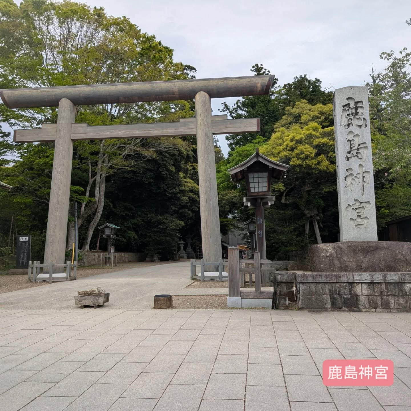 横浜市青葉区のペットシッターわんこファーストです！