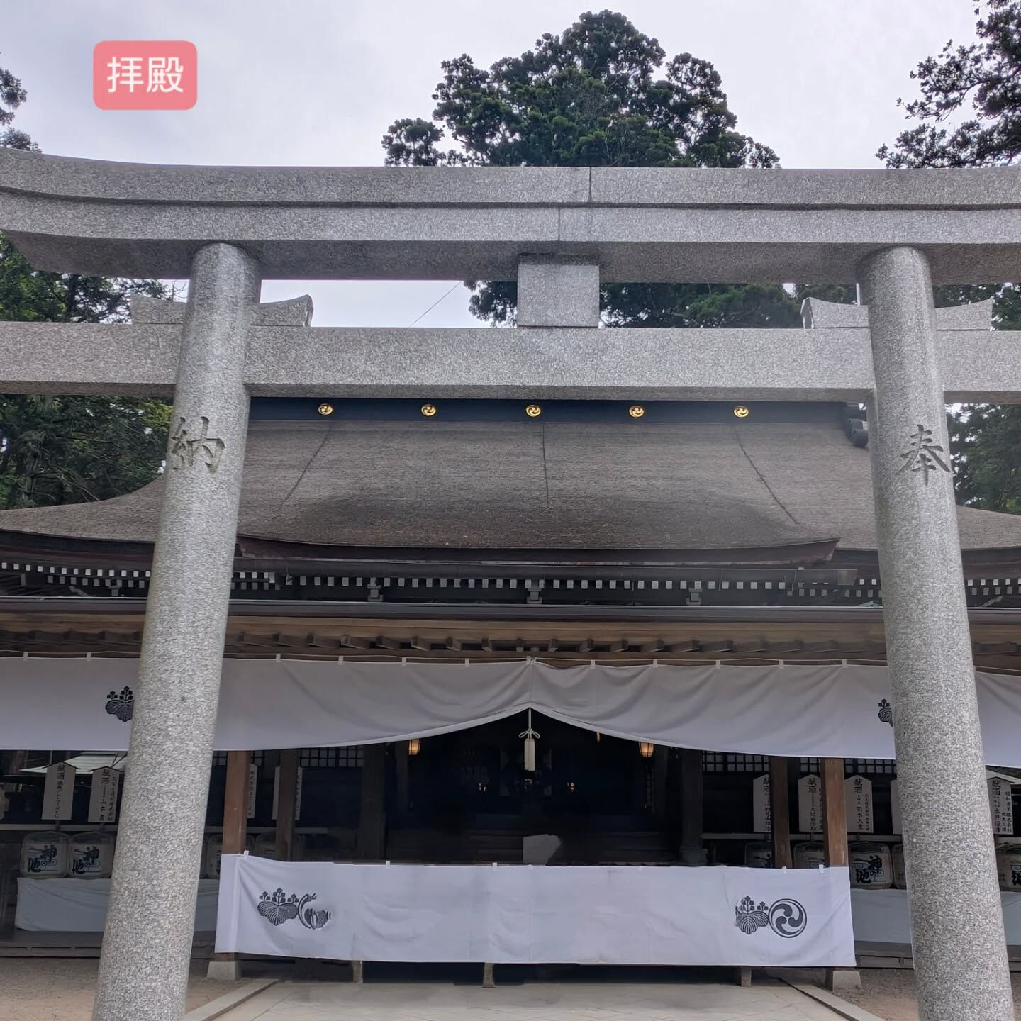 横浜市青葉区のペットシッターわんこファーストです！