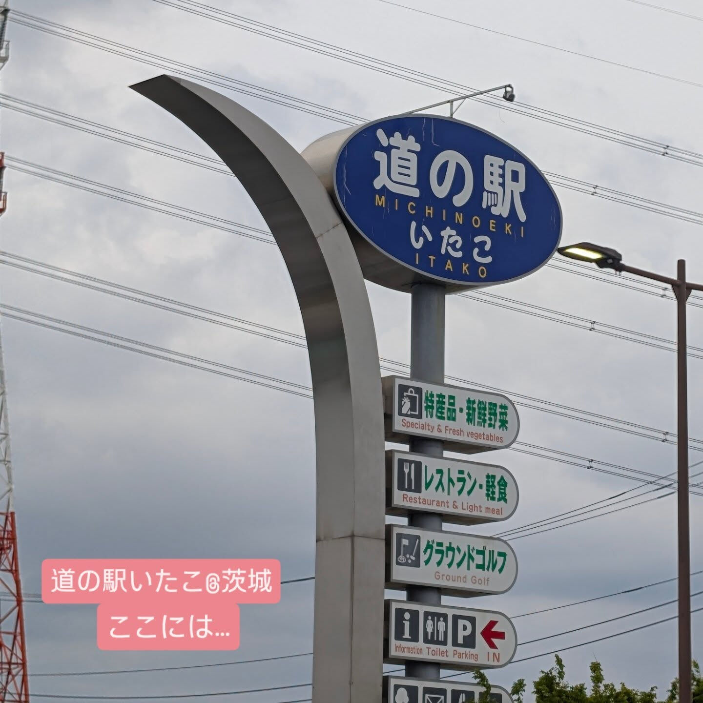 横浜市青葉区のペットシッターわんこファーストです！