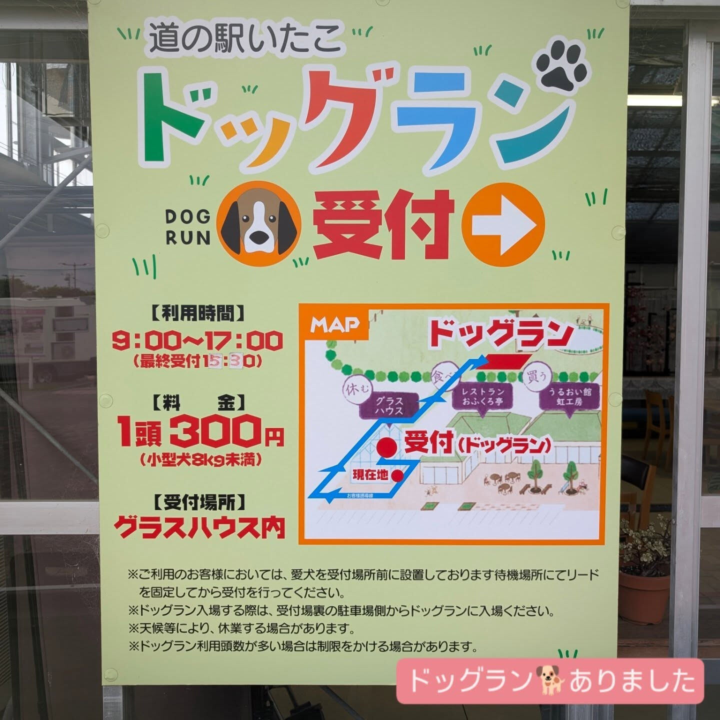 横浜市青葉区のペットシッターわんこファーストです！
