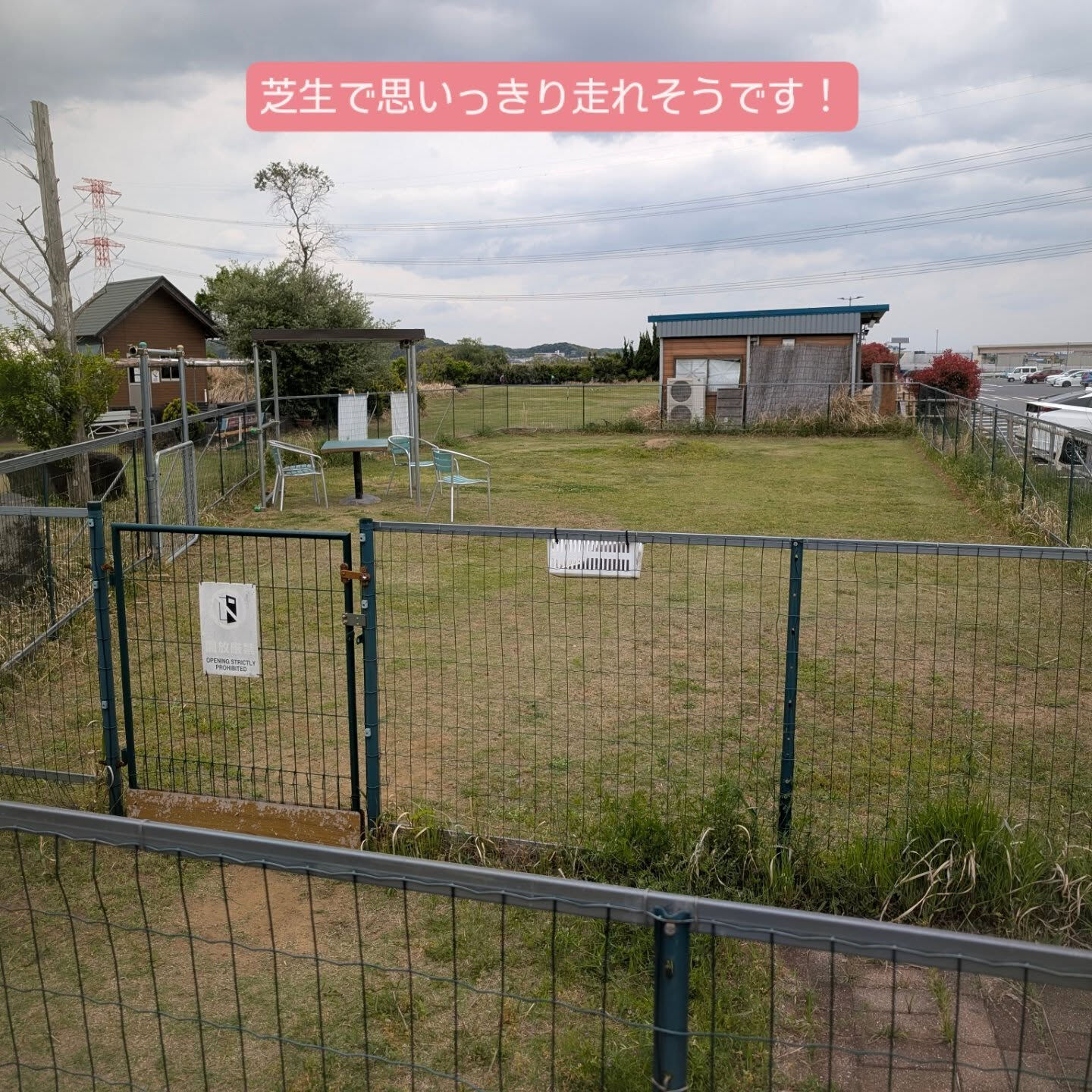 横浜市青葉区のペットシッターわんこファーストです！