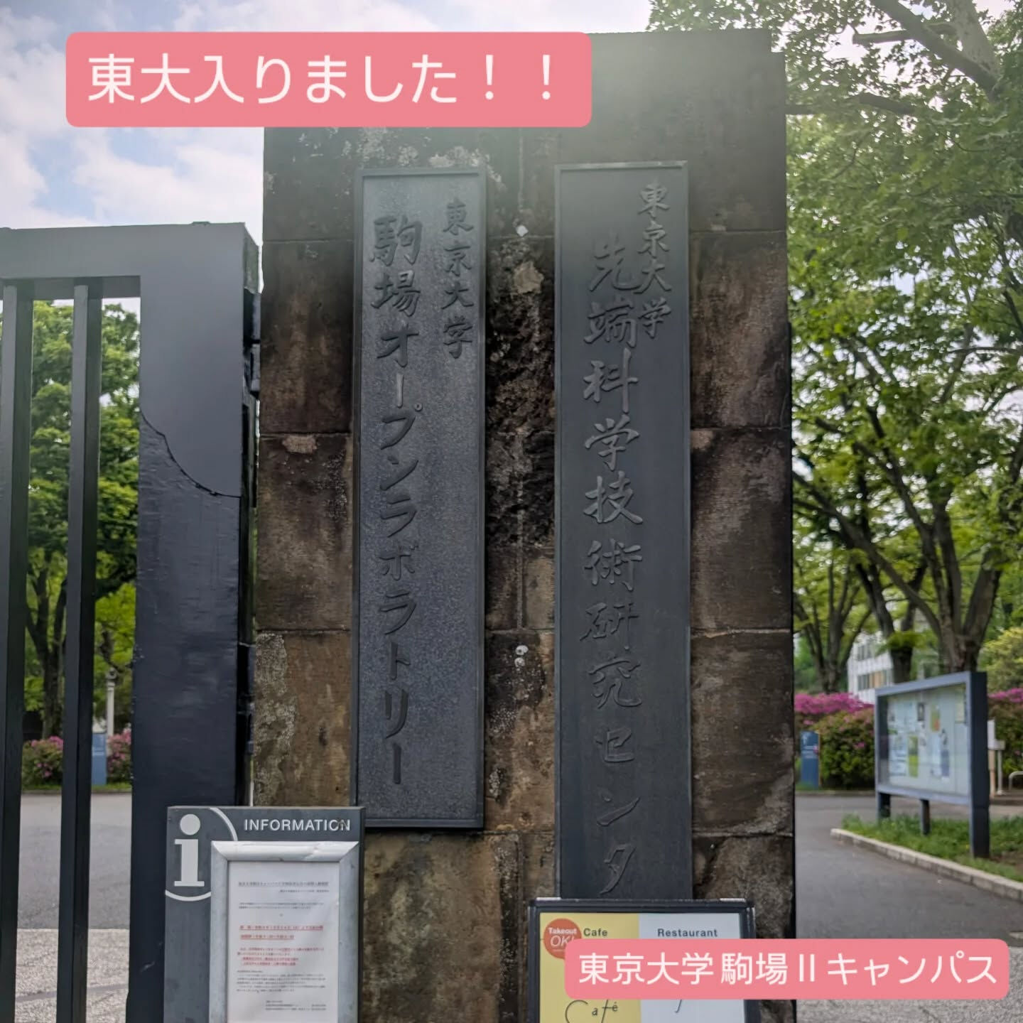 横浜市青葉区のペットシッターわんこファーストです！