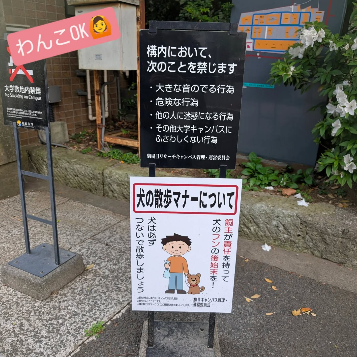 横浜市青葉区のペットシッターわんこファーストです！