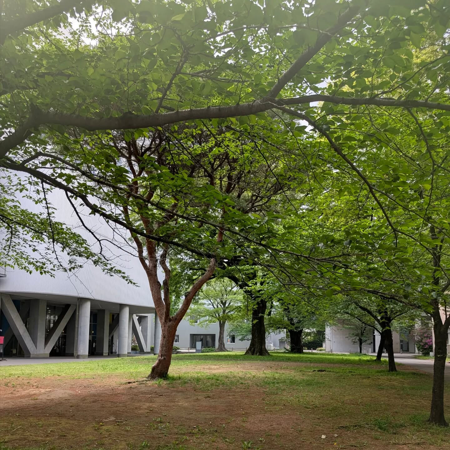 横浜市青葉区のペットシッターわんこファーストです！