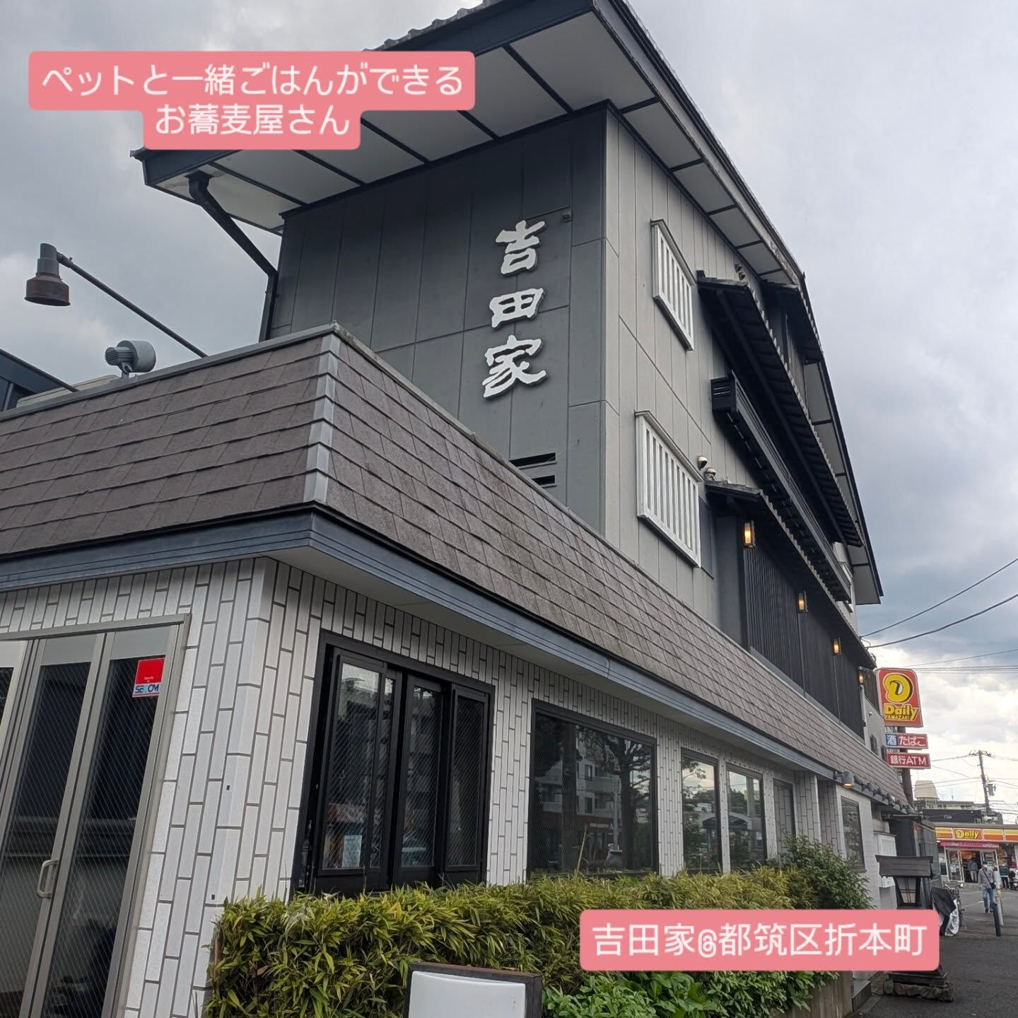 横浜市青葉区のペットシッターわんこファーストです！