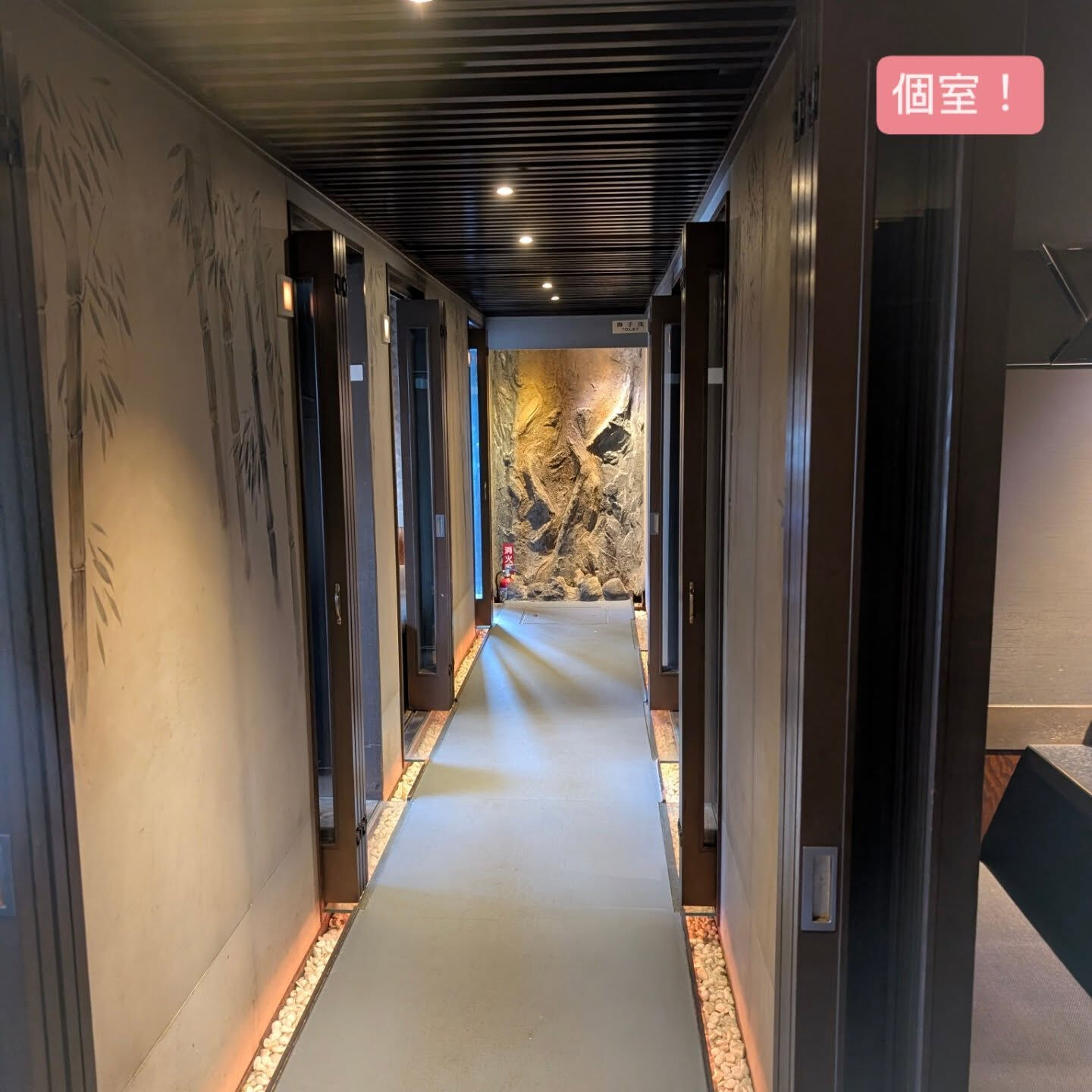 横浜市青葉区のペットシッターわんこファーストです！