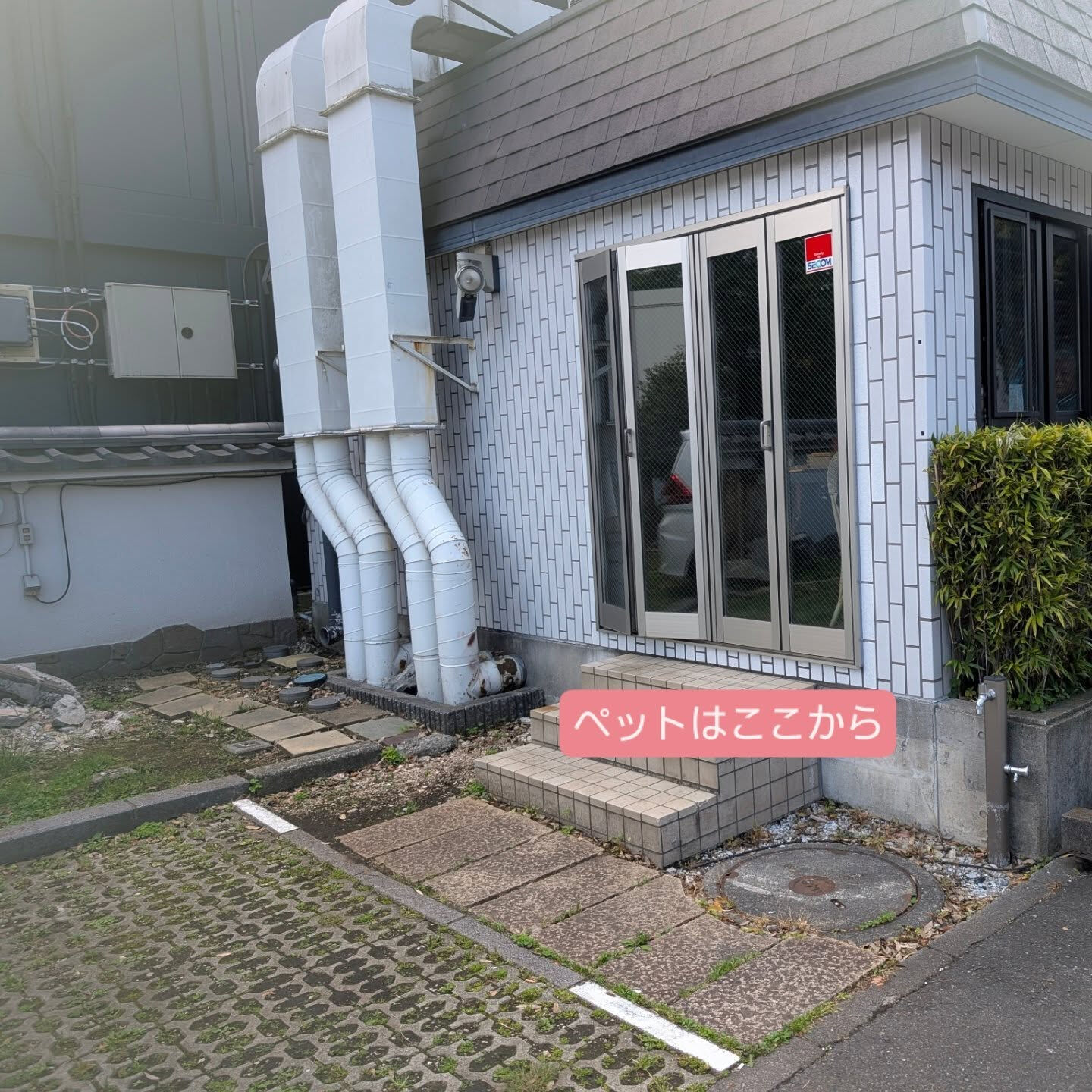 横浜市青葉区のペットシッターわんこファーストです！