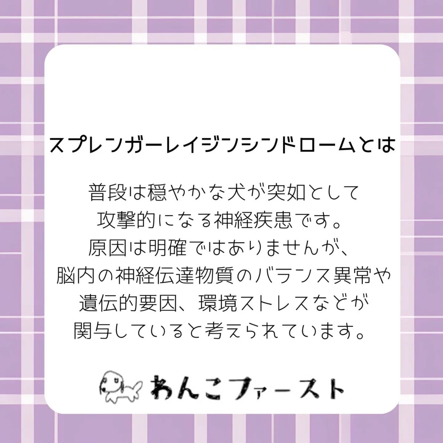 横浜市青葉区のペットシッターわんこファーストです♪