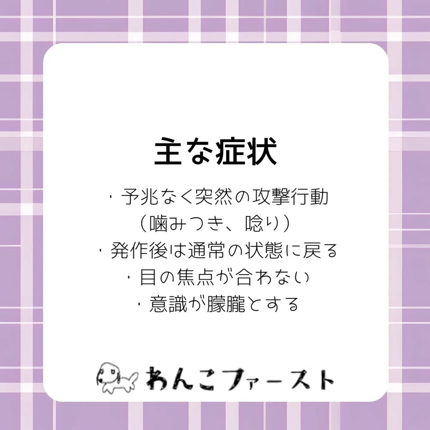 横浜市青葉区のペットシッターわんこファーストです♪