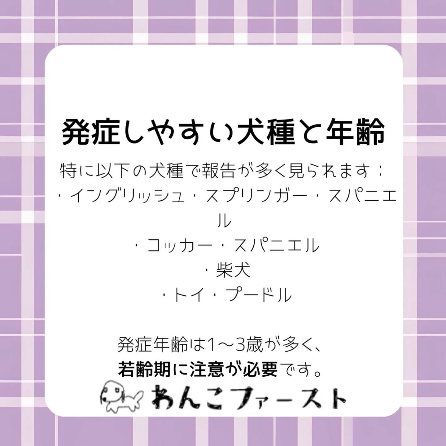 横浜市青葉区のペットシッターわんこファーストです♪
