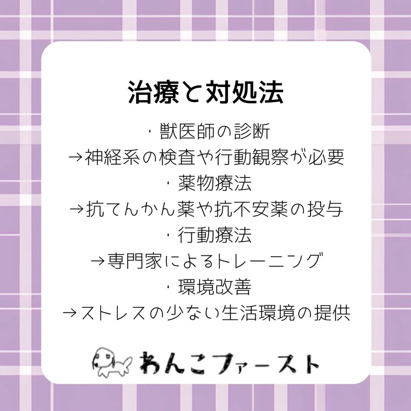 横浜市青葉区のペットシッターわんこファーストです♪