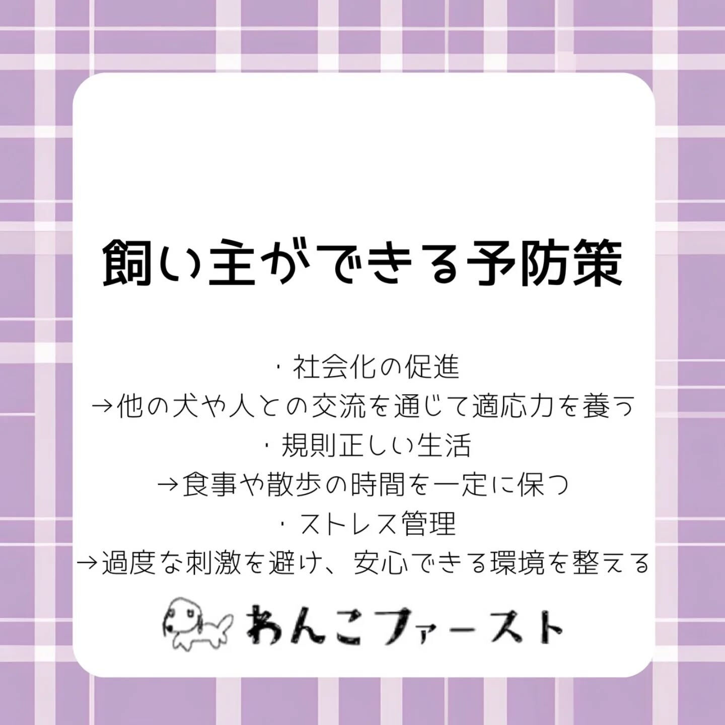 横浜市青葉区のペットシッターわんこファーストです♪