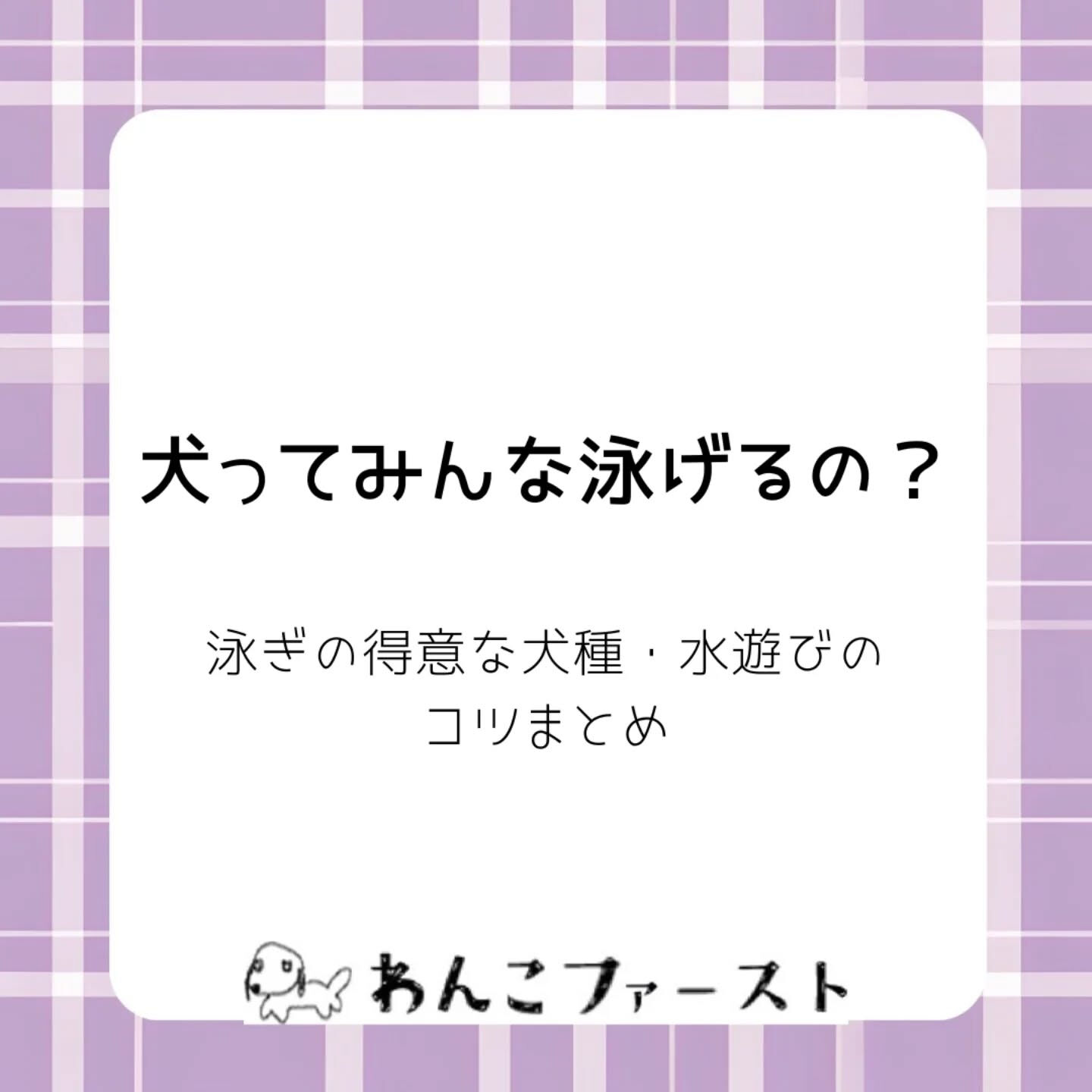 横浜市青葉区のペットシッターわんこファーストです♪