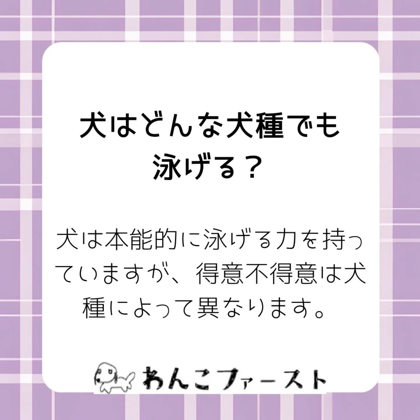 横浜市青葉区のペットシッターわんこファーストです♪